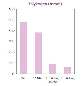 Glykogen – Kohlenhydrate und Ausdauerleistungsfähigkeit